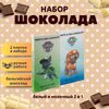 Набор детского бельгийского шоколада (белый + молочный) Щенячий патруль: Зума, Рокки, ручной работы, детский, подарочный, 2х100 гр. - вкусный подарок на день рождения B.O.G