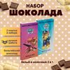 Набор детского бельгийского шоколада (белый + молочный) Щенячий патруль: Гонщик, Скай, ручной работы, детский, подарочный, 2х100 гр. - вкусный подарок на день рождения B.O.G