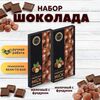 Набор шоколада, 2 плитки по 100 гр: Молочный с фундуком+Молочный с фундуком, ручной работы. B.O.G