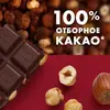 Шоколад Ritter Sport "Цельный лесной орех", 100 г, изображение 3