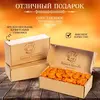 Курага медовая Братья Ореховы, сухофрукты, 500г, изображение 3