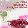 Варенье Beak Pick из лепестков роз 360 гр. без консервантов и ГМО, роза, изображение 4