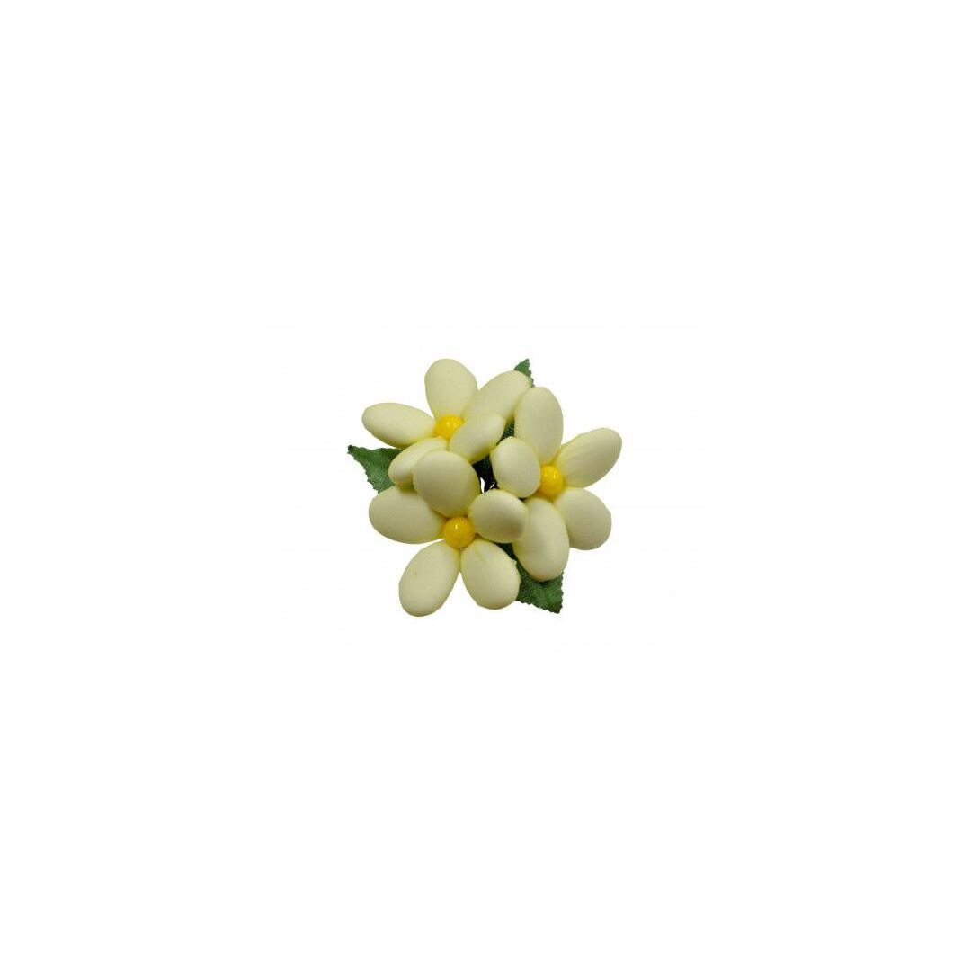acd86fce240411e2868f50e5493603b2_20fbc86a14af11e580f7000c29dd3396_500x500.jpg