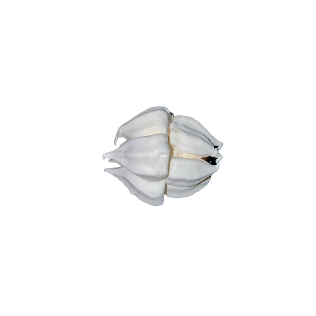 Зефир "Зефирное курабье" со вкусом ванили/с конфитюром "Абрикос"/ КФ "Кронштадтская" /450 г, изображение 4