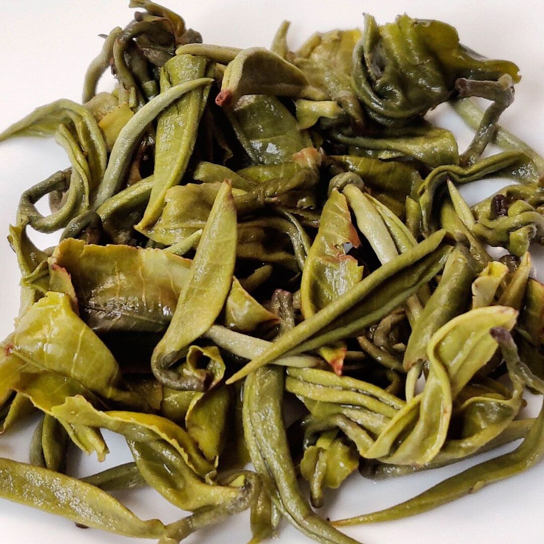 Билочунь Сюэ Я, Снежная Почка. Весна 2023., изображение 5