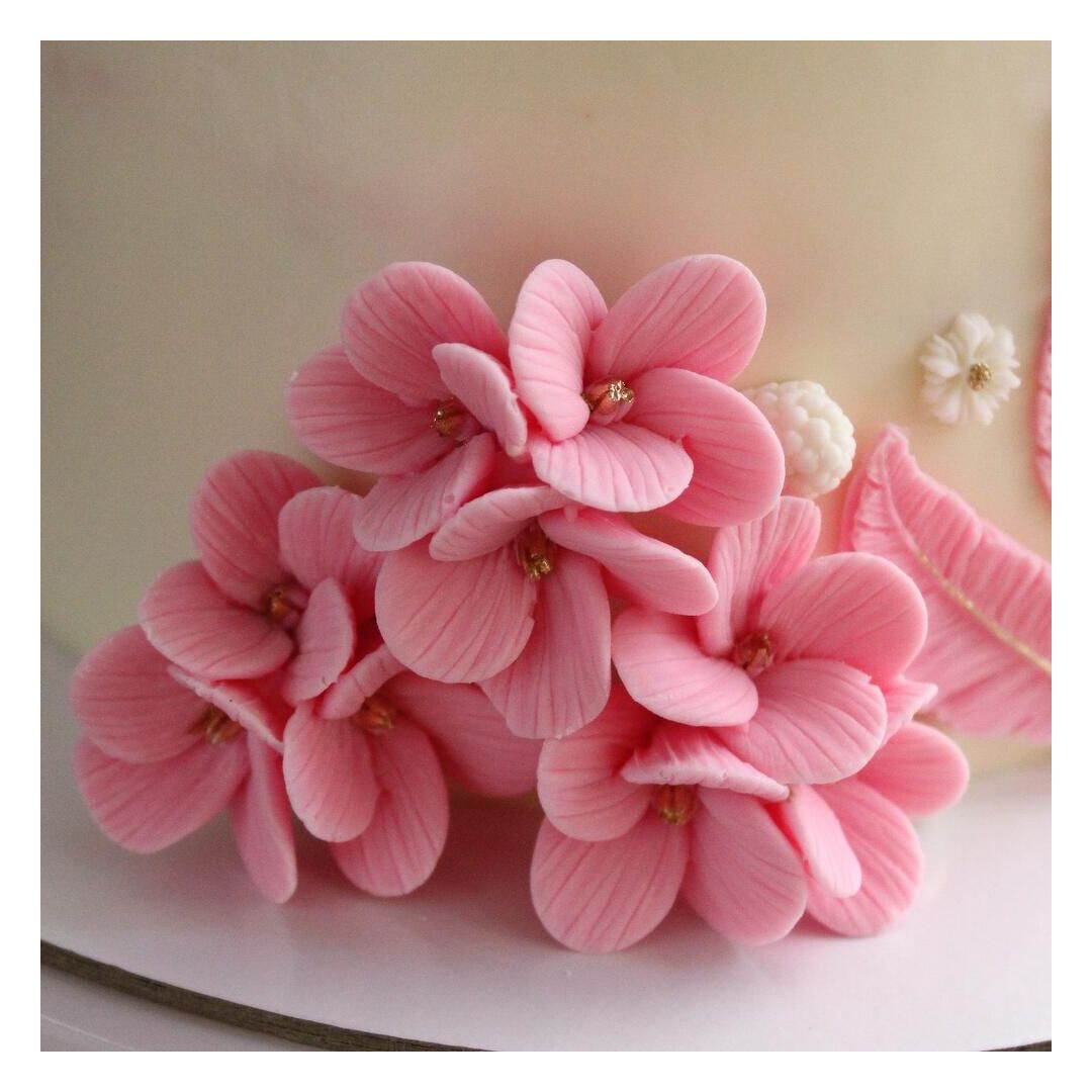 Торт на 2 кг, изображение 3