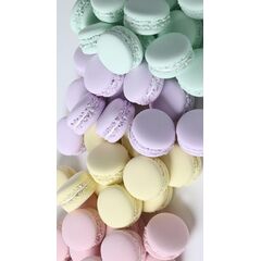 Ассорти макаронс Пастельный 16шт